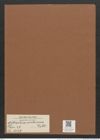 Nitzschia ventricosa Kitt. (de-Toni-Nr.: Genus 47, Species 2147) Zeichnungen Sammlung Grunow Mappe 02279 (Herbarium_W_Grunow_drawings_Folder_02279)